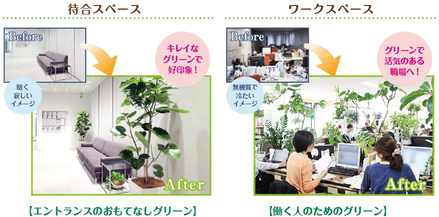 観葉植物設置例1